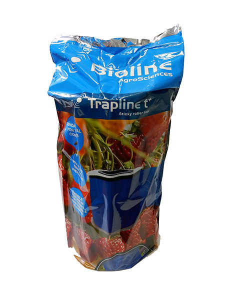 TraplineT+ Pheromone - 2 rolls/pack - Biological Control